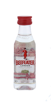 Image de Beefeater PET 40° 0.05L