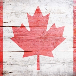 Image de la catégorie WHISKY CANADIEN