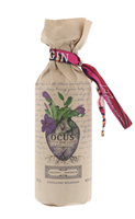 Image de Ocus Bio Gin 40° 0.5L
