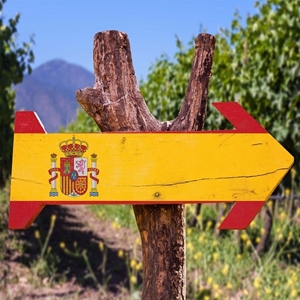 Image de la catégorie VIN D'ESPAGNE
