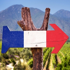 Image de la catégorie VIN DE FRANCE