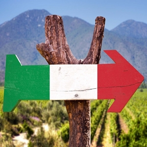 Image de la catégorie VIN D'ITALIE