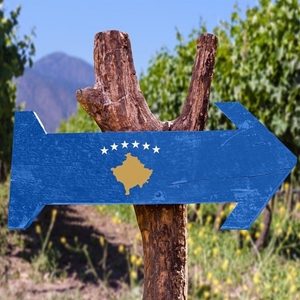 Image de la catégorie VIN KOSOVAR