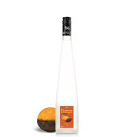 Image de Orangine 40° 0.2L
