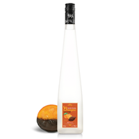 Image de Orangine 40° 0.7L