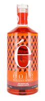 Image de Éole Belgian Spritz 20° 1L