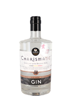 Image de Charismatic Gin Distillerie Gervin 44.6° 0.5L