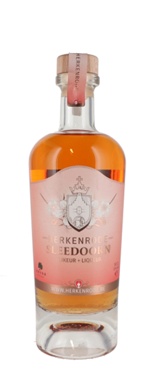 Image sur Herkenrode Sleedoorn Sloe Gin 22° 0.5L
