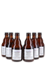 Image sur Luperia Bière au Gin 8.2° 0.33L