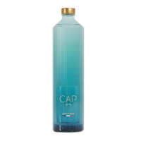 Image de CAP Gin 43° 0.7L